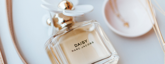 The best long-lasting perfumes and fragrances